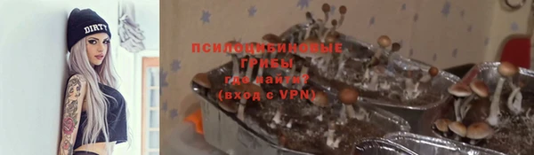 а пвп мука Михайлов