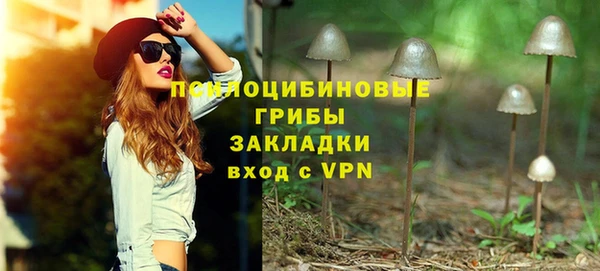 твердый Михайловск