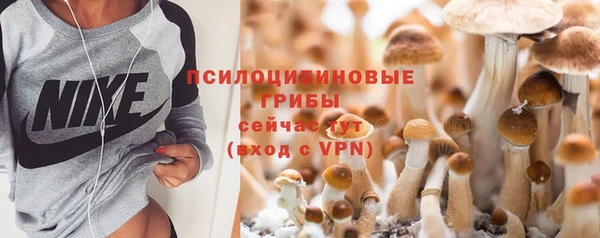 твердый Михайловск