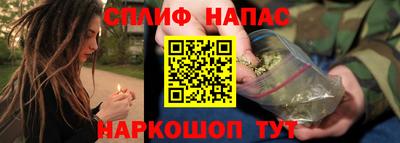 гашик Бузулук