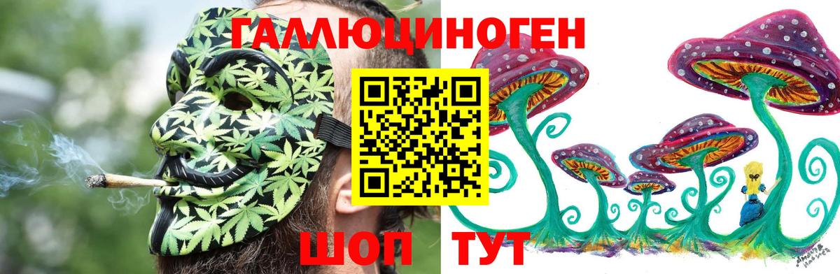 Псилоцибиновые грибы Psilocybe Еманжелинск